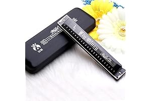 Melodious Harmonicas for Adult Enthusiasts: 24 Holes of Musical Bliss