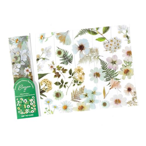 5 i`hC[tt[ubN}[Ni`hCt[ubN}[NubNy[WfBoC_[tw{̗lNGCeBuǏANZT[