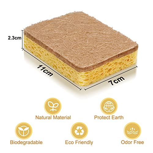 12 Pack Dish Sponge Eco Friendly Kitchen Sponge Natural Biodegradable Compostable Sustainable Living Scrubber Sponges For Dishes With Heavy Duty Scouring Pad #TOP5