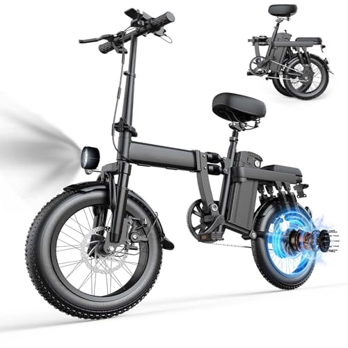 LONG SENG Adult Electric Bike,750W Electric Bike,48V20AH Removable Battery,Foldable Electric Bike,Fat Tire Electric Bike,Mens Electric Bike,Electric Dirt Bike,Electric Dirt Bike