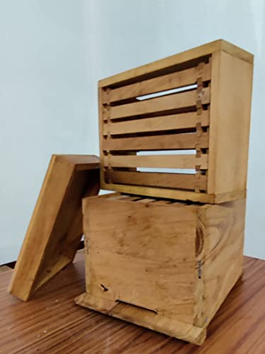 Honey Equip Honey Bee Hive Wooden Box Nano Bee Hive Box Assemble and Complete Set