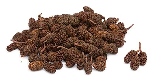 Mini-pommes de pin VBS, Naturel, env. 190 g