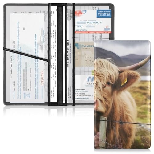 Organizador de Documentos para Auto Multicolor miniatura 2