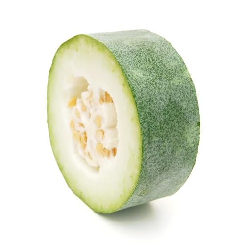 semillas de calabaza de cera Semillas melón invierno resistentes Oficina exóticas 25pcs