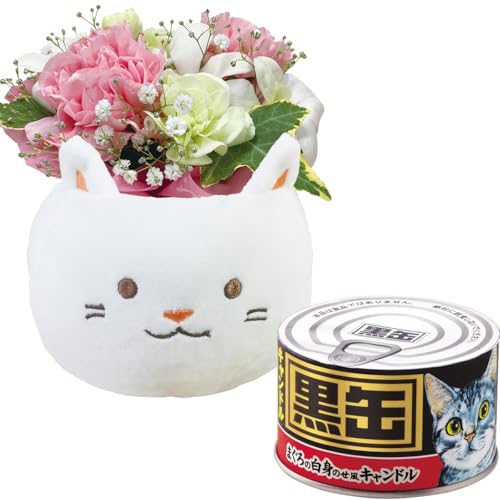 Ԃ̃Mtg  ybg  L  ybgp   ފ ~ 