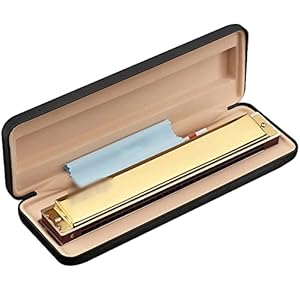 Yuxahiugkq Armonica Reed Oriental 28-Gat Accent PolyPhony A/C/D/F/G for beginners Professional Playing Harmonica (Color : 1, Size : C)