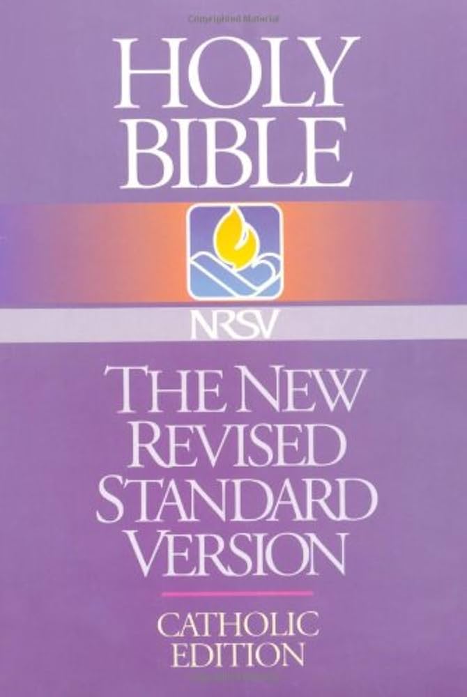 洋書 HOLY BIBLE NEW REVISED STANDARD VERSION Holy Bible NRSV – New Revised Standard Version, Catholic