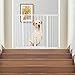 Pawhut Barrera de Seguridad Extensible Puertas y Escaleras Metálica para Perros y...