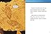 Fossils (Earth Materials and Systems)