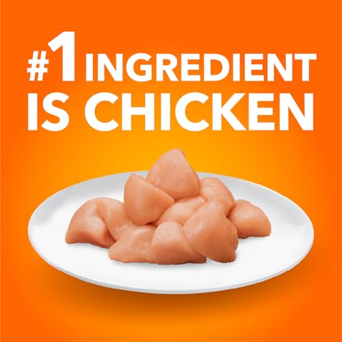 IAMS Proactive Health Indoor Weight & Hairball Care Adult Dry Cat Food – Chicken & Turkey - 1.59KG (3.5LB) Bag image 1