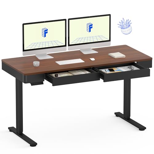 FLEXISPOT Q5 Standing Desk with Drawer, 55 x 24 Inch Whole Piece ...