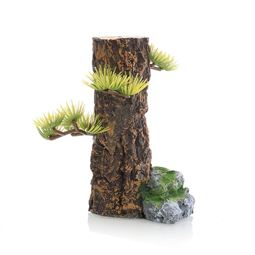 ِlHi؂芔gNGrɐB^N & eEnfUCكANZT[