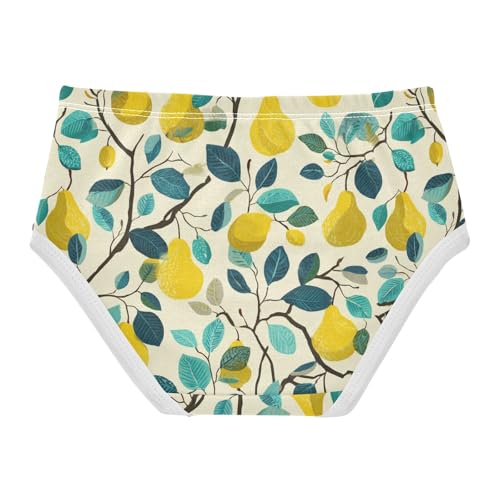 Wusikd Pears Girls' Underwear Cotton Girls Briefs Soft Toddler Underwear 2T2