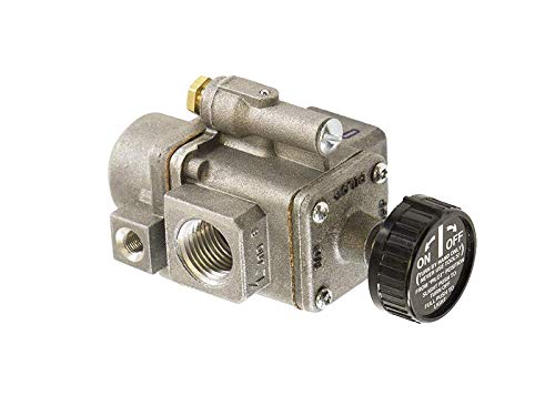 ANETSBERGER BROTHERS P8904-84 Pilot Safety Valve Single T-Couple