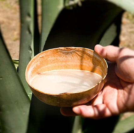 Pulque natural blanco