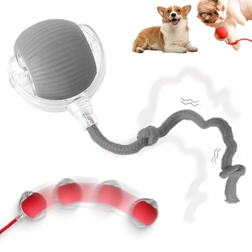 Interactive Rolling Dog Ball, 2025 Upgraded Dog Toy Interactive C...