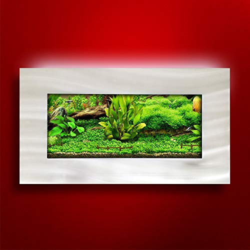 Aussie-Aquariums-20-Wall-Mounted-Aquarium-View