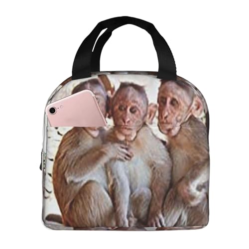 ۗ⃉`obO e h MRh~ ŏv ʋ΁AʊwAAEghAɕ֗ jp (L[brؐpbg)