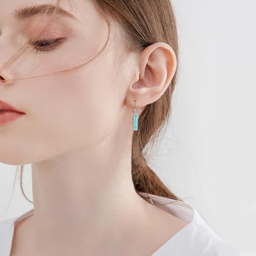 CRMAD Abalone Shell Bar Earrings for Women Sterling Silver Leverback Earrings Abalone Jewelry Gift2