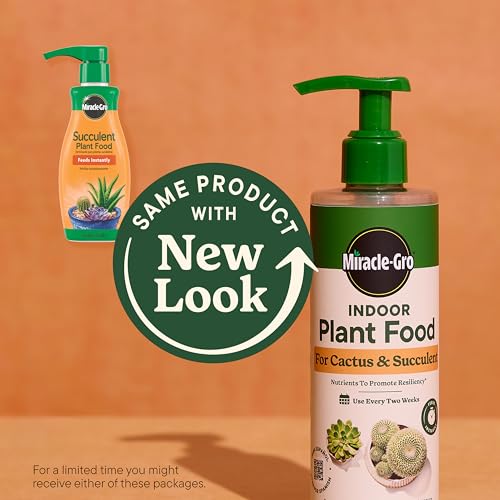Miracle-Gro alimento líquido para cactus y suculentas 3 pack miniatura 2