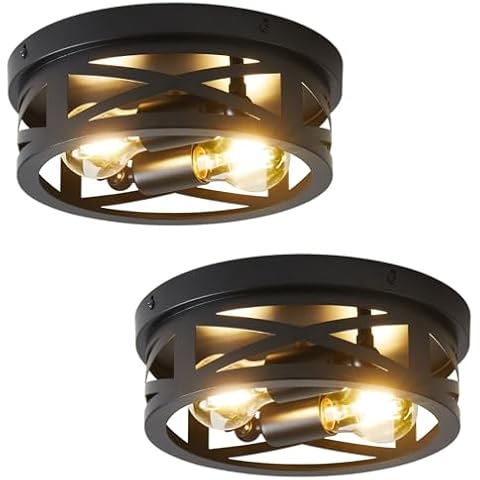 XIEYOR 2-Light Flush Mount Fixture Cover