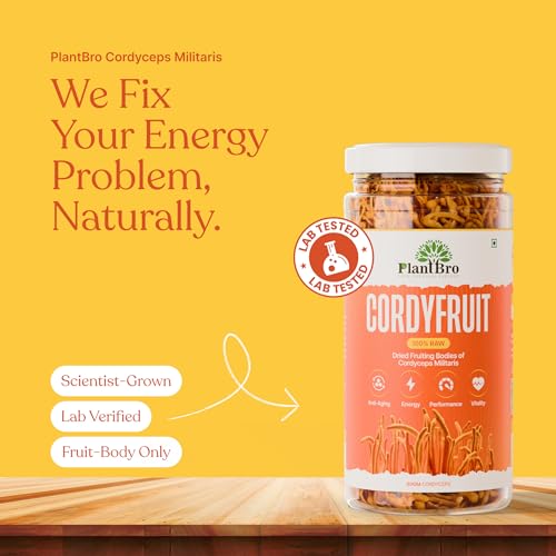 PlantBro CordyFruit – 100% Raw Cordyceps Militaris Fruit Bodies | Natural Energy & Stamina Booster | Immunity, Endurance & Vitality Support | No Fillers, Pure Mushroom Superfood – 30g