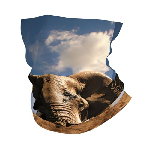 KWQDOZF Braga para el cuello con diseño de elefante feroz, mascarilla facial estilo granja, bandana de protección solar, cubierta facial, bufanda para el cuello a prueba de viento para exteriores.