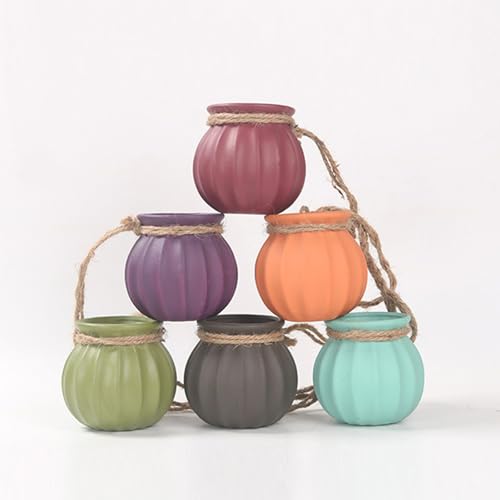 Pots de fleurs suspendus intérieur extérieur pour succulentes - 8