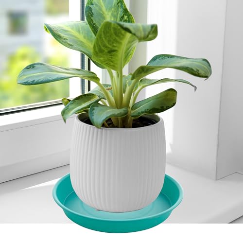 image for Bleuhome 4 Pack of 14 inch Plant Saucers Bird Bath Bow Round, Plastic 