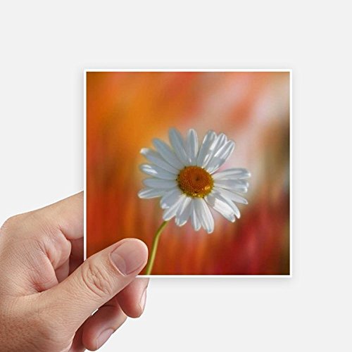 Autocollant carré fleurs 10cm deval pour motobike valise DIYthinker 8Pcs