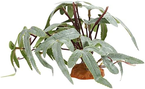 Habitat Décor - balacoo Simulated Green Plants for Reptile Box Artificial Plant Adornment for Tank Decoration for Lizards Geckos and Other Reptiles Stable Base