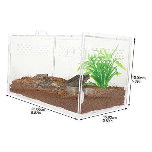 Boîte élevage reptiles TOYANDONA terrarium transparent