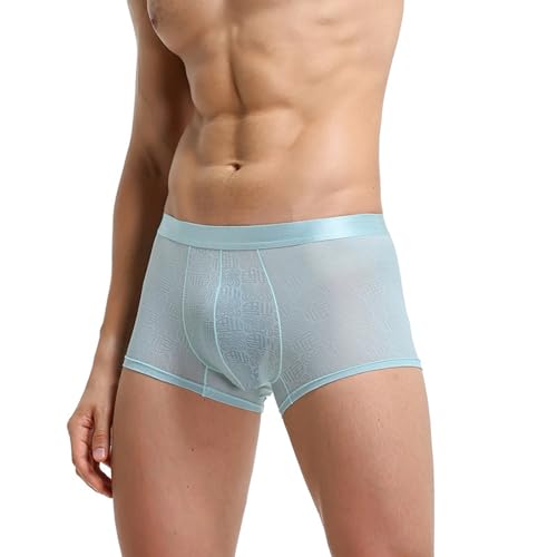 Evankin Men's Boxer Brief Underwear See Through Mesh Sexy and Fun Underpants Shorts Home Comfortable Lingerie4