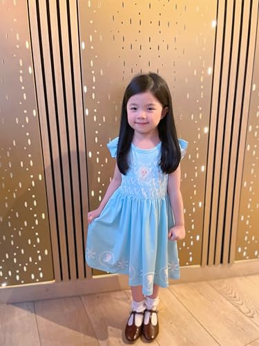 image for Disney Frozen Elsa Toddler Girl Dresses 2 Pack Blue Ruffle Sleeve Cost