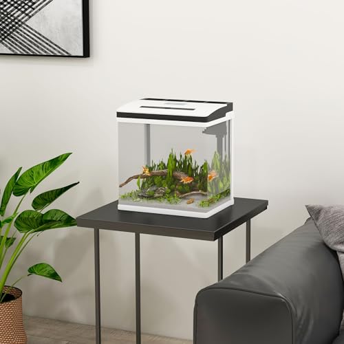 Miniatura 2 de Acuario De Cristal