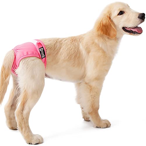 Pañal para perro hembra CouHap Reutilizable y lavable Correa para el vientre para perro hembra, Pañal para perro súper absorbente con broches ajustables (Beige, L)