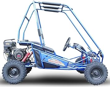 TRAILMASTER MINI XRS+ Kids Size GO Kart (Blue)