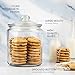 1 Gallon Glass Cookie Jar with Lid – Glass Jar with Lid - Airtight Food Storage Container for Cookies, Candy, Flour, Dog Treats – Clear Large Kitchen Jar for Pantry - Glass Containers with Lids