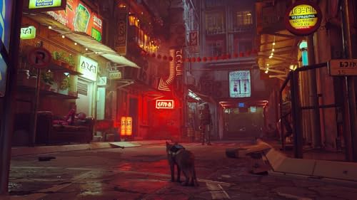 Stray (Nintendo Switch)