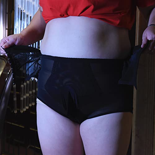 LESOYA Men's Sexy Plus Size Mesh Sheer Boyshorts Trunks High Waist See Through Sheer Boxer Briefs Panties Shaping Underwear3