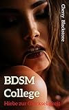 BDSM College: Hiebe zur Glückseligkeit