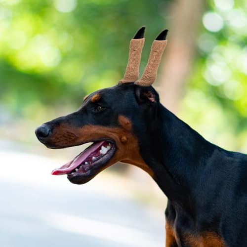 Image of 1 Set Ear Erector Pet Kit Tools Dog Ear Standing Support Dog Accessory Puppy Ear Standing Supply Dog Supply Puppy Ear Support Tool German Shepherd Bark Stopper Plastic, 14.00X8.00X7.00CM