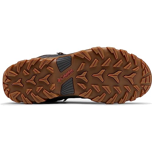 Columbia Men's Newton Ridge Plus Ii Suede Waterproof Hiking Shoe, Dark Grey/Gold Amber, 9.5 #TOP3