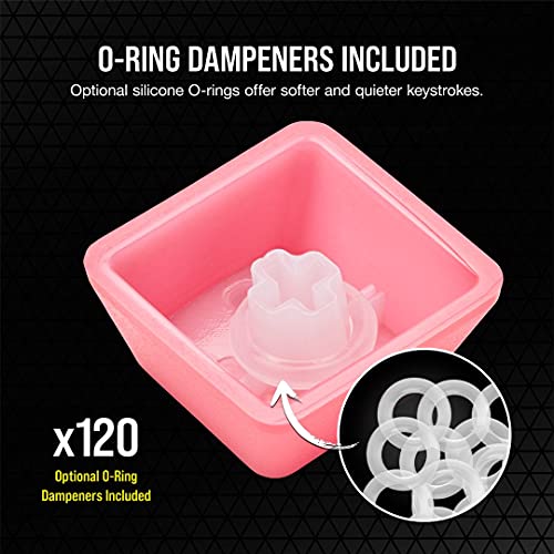 PBT Double-Shot Pro Keycap Mod Kit - Copritasti in PBT a doppio colpo - Rosa canaglia - Riga inferiore standard - Superficie ruvida - Pareti spesse 1,5 mm - Ammortizzatore O-Ring, fila - Tastiera gaming - Immagine 4