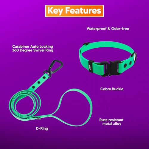 Image of Adil's Biothane Waterproof Dog Collar, Dog Leash & Collar Leash Combo | Heavy Duty TPU Coated Webbing | Adjustable Quick Release Buckle | Odour Resistant (Forest Green, M-18, Collar & Leash Combo)