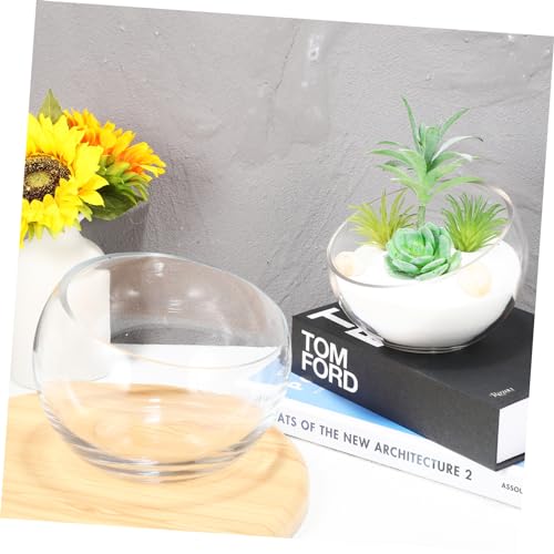 Pots de fleurs transparents pour verdir votre salon avec style - 3