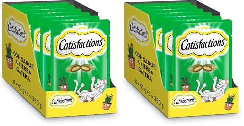 Catisfactions Premios para Gatos Sabor Hierba Gatera 6 Packs de 60g (Paquete de 2)