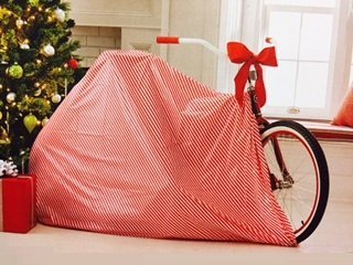 Bicycle Gift Bag