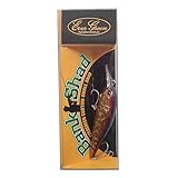 エバーグリーン(EVERGREEN) シャッド バンクシャッド 5.8cm 5g プリスポーンダイナマイト #019