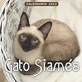  Gato Siamés Calendario 2022: Calendario 12 meses 2022 - 8.5 x 8.5 in cuando está cerrado y 8.5 x 17.0 in abierto.- Organización y Planificación - Perfecto como regalos, suministros de oficina